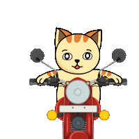 Good Morning Cat Sticker by JPedicini