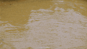 Stop Motion Swimming GIF by CreativeCooking