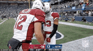 Arizona Cardinals Football GIF by NFL