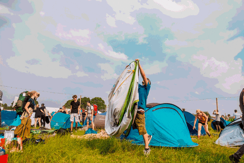 RockWerchter giphyupload festival rock rw GIF
