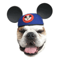 mickey mouse Sticker by Butler University