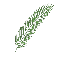 Palm Mallorca Sticker