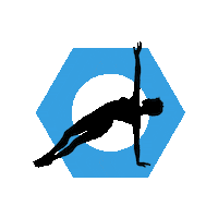 Pilates Ppm Sticker by Pialtes Pro Maintenance