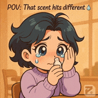 Surprise Sorpresa GIF by Persona