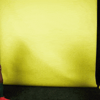 OregonDuckAthletics oregon soccer oregon ducks soccer anna emperador GIF