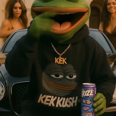 Fun Crypto GIF by Kek kush