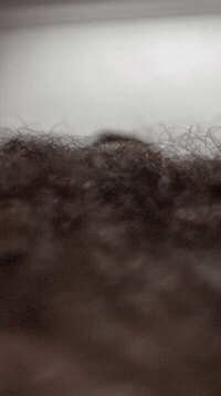 Gay Bear GIF by Database數據
