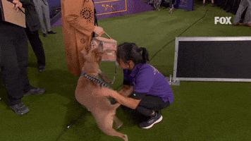 A Little Butt Scratch And Some Love