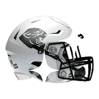 Stickers Helmet Sticker by Parma Panthers