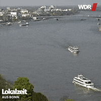 bonn rhein GIF by WDR