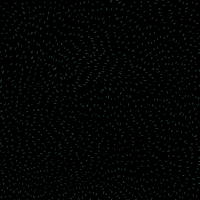 Text gif. Concrete-textured block letters animated to say "Say, his, name, his name was, Tyre, Nichols" against a dark speckled background.