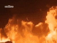 Stranger Things Omg GIF