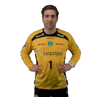 Handball Leipzig Sticker by DAIKIN HBL