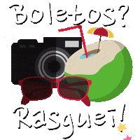 Travel Coco Sticker by Carol Dias Turismo