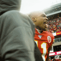 Excited National Football League GIF by NFL