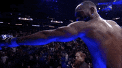 Mixed Martial Arts Sport GIF by UFC