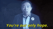 Andrew Yang GIF