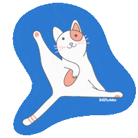 Kittysitter cat cats kitty kitten Sticker
