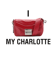 Fashion Brazil Sticker by Schutz