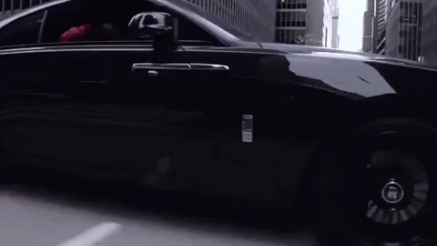 GIF by Winners Circle