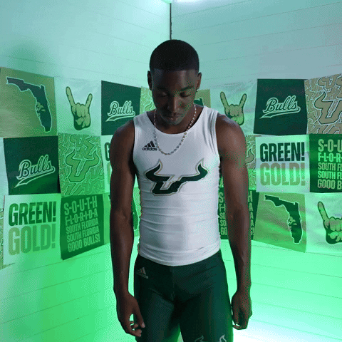 South Florida Horns Up GIF by USF Athletics