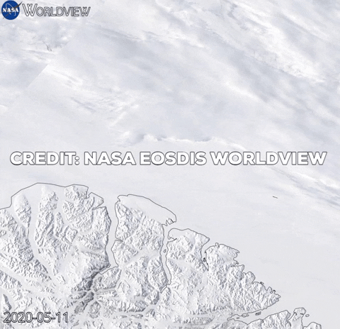 mark_science giphygifmaker GIF