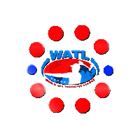 Perfect Game Watl Sticker by Bad Axe Throwing