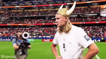 World Cup Fans GIF