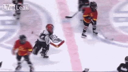 hockey hand GIF