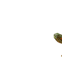 the_pizzacat cat pizza turtle tacos Sticker