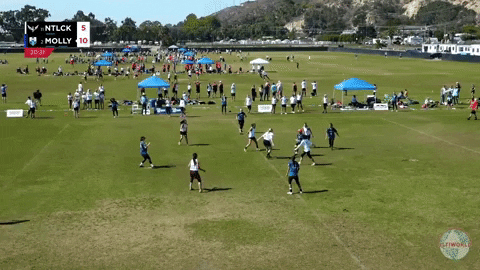flikulti ultimate frisbee flik GIF