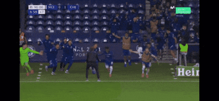 Chelsea Fc Winner GIF by arcalle