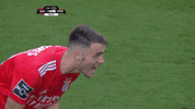 motivating sl benfica GIF by Sport Lisboa e Benfica