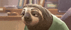 sloth GIF by Walt Disney Animation Studios