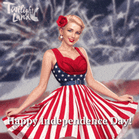Independence Day Usa GIF by G5 games