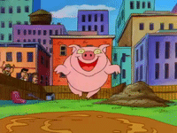 heyarnold nicksplat hey arnold GIF