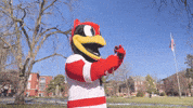 Mascot Isu GIF by Illinois State University