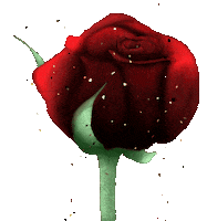 Red Rose Art Sticker