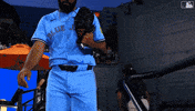 Blue Jays Entrance GIF by Toronto Blue Jays