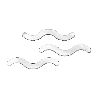 Atlantic Records Love Sticker by IV Jay