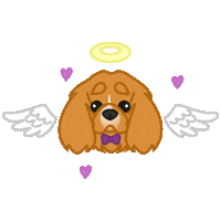 Dog Sticker