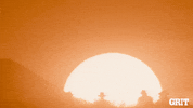 Western Film Horse GIF by GritTV