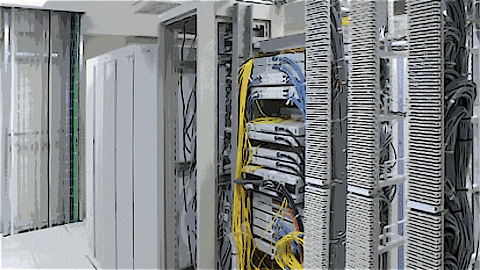 giphyupload GIF