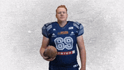 American Football GIF by Steelsharks