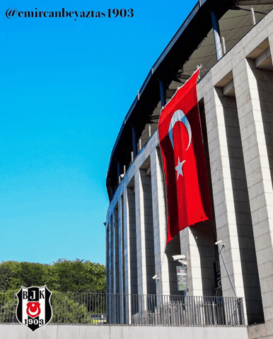 Beşiktaş GIF