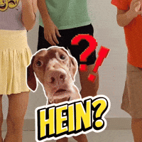 O Que GIF