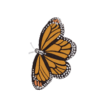 Spring Butterfly Sticker by Rifle Paper Co.