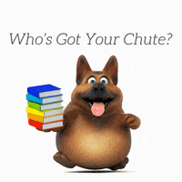 JumpConsulting dog walking dog walk pet business jump consulting GIF