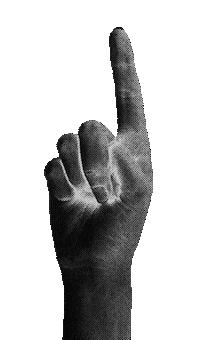 nameriga like hand hands pointing Sticker