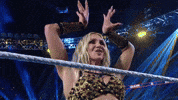 Wwe Raw GIF